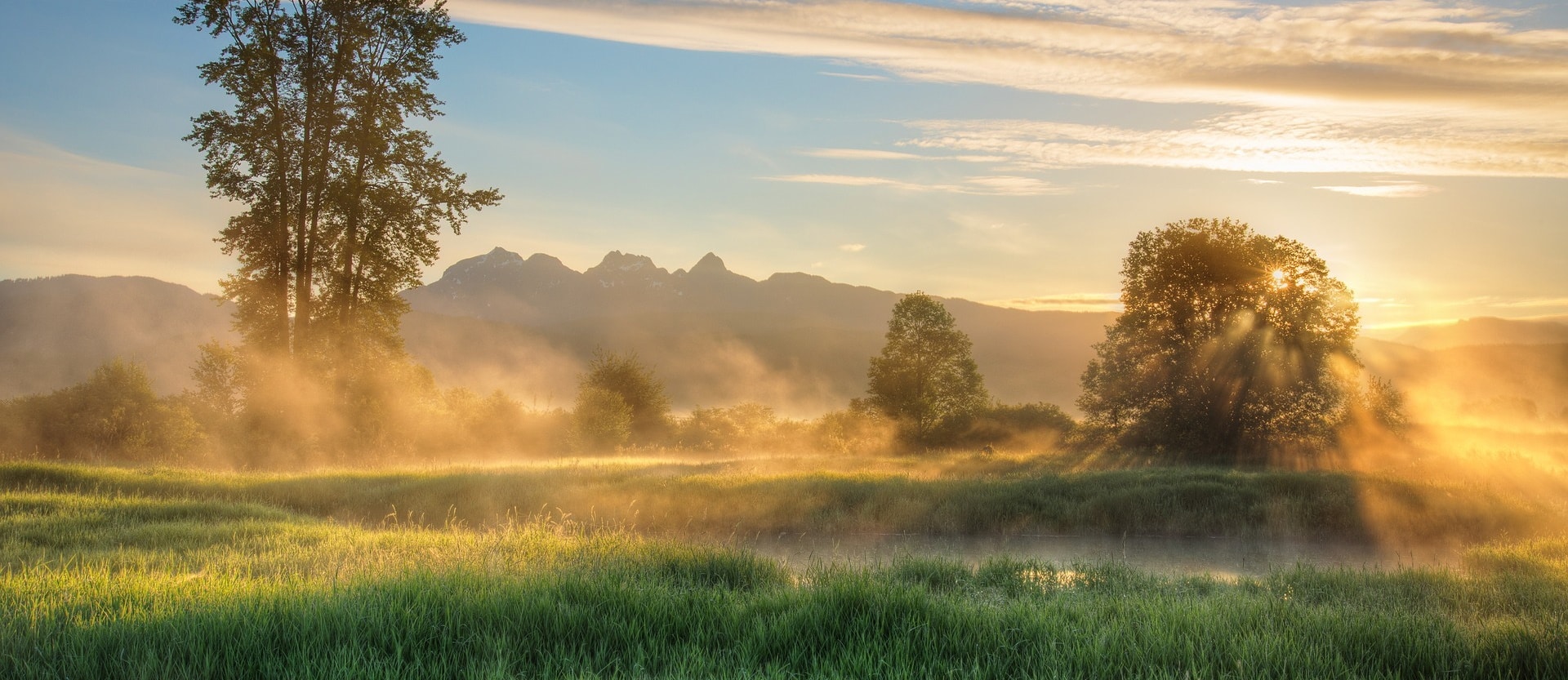 Seminarfestival: Eintauchen in Yoga, TaKeTiNa®, Waldbaden und Kunst