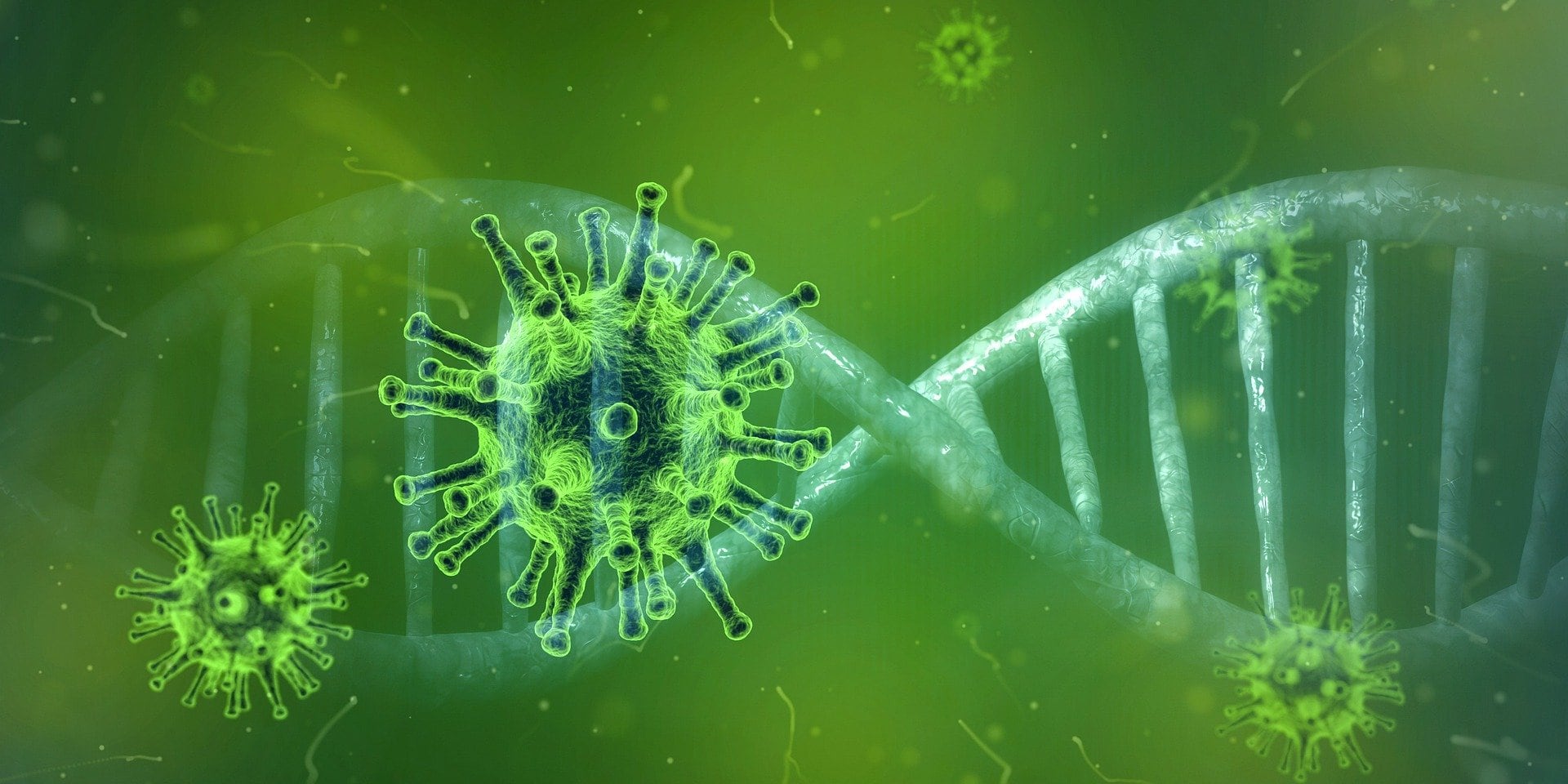 Coronavirus Veranstaltungsabsage