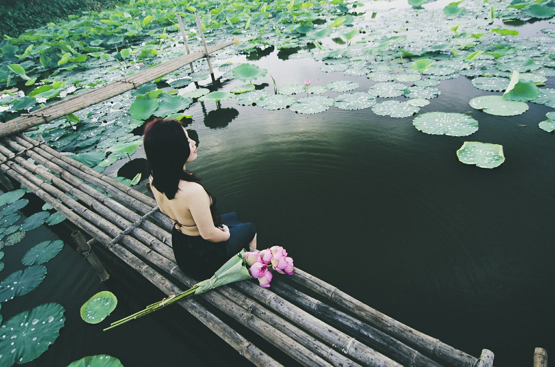 ONLINE-Seminar Meditation - Anbindung an die Quelle