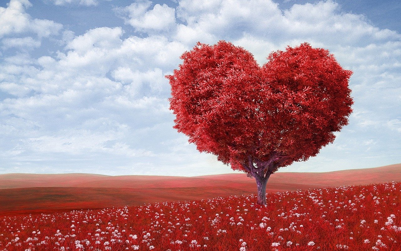 Seminarfestival Liebe - Liebe leben – Leben lieben