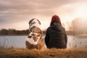 Eine Person und ein Hund sitzen Seite an Seite und blicken gemeinsam in die Ferne, ein stimmungsvolles Bild, das die enge Bindung und das therapeutische Potenzial in der tierbegleiteten Therapie innerhalb der Psychotherapie hervorhebt.