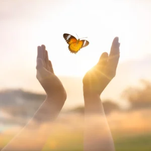 Ein Schmetterling mit leuchtend gefärbten Flügeln landet sanft auf der ausgestreckten Hand einer Person vor einem verschwommenen Hintergrund blühender Blumen. Dieses Bild symbolisiert Transformation und Hoffnung, zentrale Themen in der Psychotherapie, und vermittelt die Botschaft, dass Veränderung und persönliches Wachstum möglich sind.