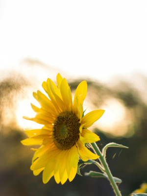 Design ohne Titel (3)