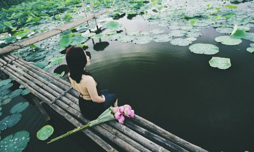 ONLINE-Seminar Meditation - Anbindung an die Quelle