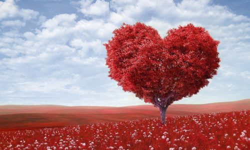 Seminarfestival Liebe - Liebe leben – Leben lieben