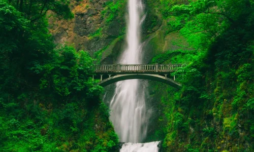 Eine malerische Brücke überspannt einen majestätischen Wasserfall inmitten üppiger Vegetation, ein Sinnbild für die Reise der Psychotherapie. Sie illustriert den Übergang von Herausforderungen zu persönlicher Erneuerung und innerem Frieden, wie Wasser, das unaufhaltsam seinen Weg findet und dabei stetig transformiert.