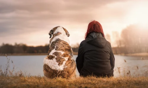 Eine Person und ein Hund sitzen Seite an Seite und blicken gemeinsam in die Ferne, ein stimmungsvolles Bild, das die enge Bindung und das therapeutische Potenzial in der tierbegleiteten Therapie innerhalb der Psychotherapie hervorhebt.