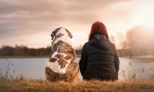 TBT - Tierbegleitete Therapie – Was bedeutet das