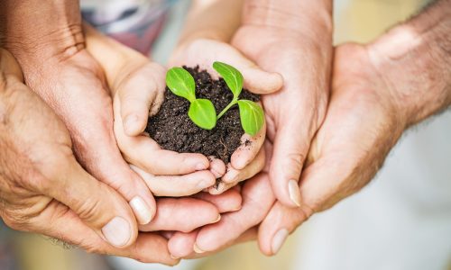 Traumatherapie - Das Innere Kinder Retten