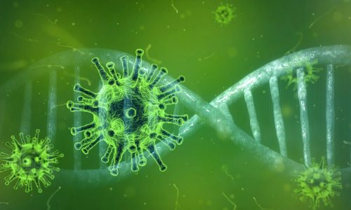 Coronavirus Veranstaltungsabsage