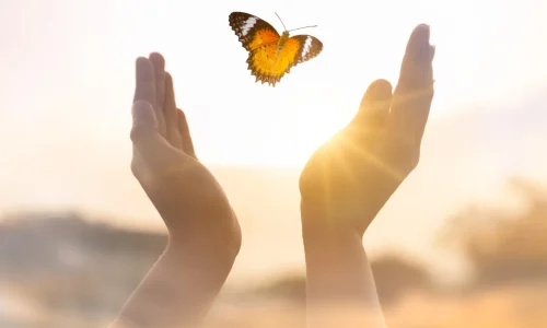 Ein Schmetterling mit leuchtend gefärbten Flügeln landet sanft auf der ausgestreckten Hand einer Person vor einem verschwommenen Hintergrund blühender Blumen. Dieses Bild symbolisiert Transformation und Hoffnung, zentrale Themen in der Psychotherapie, und vermittelt die Botschaft, dass Veränderung und persönliches Wachstum möglich sind.